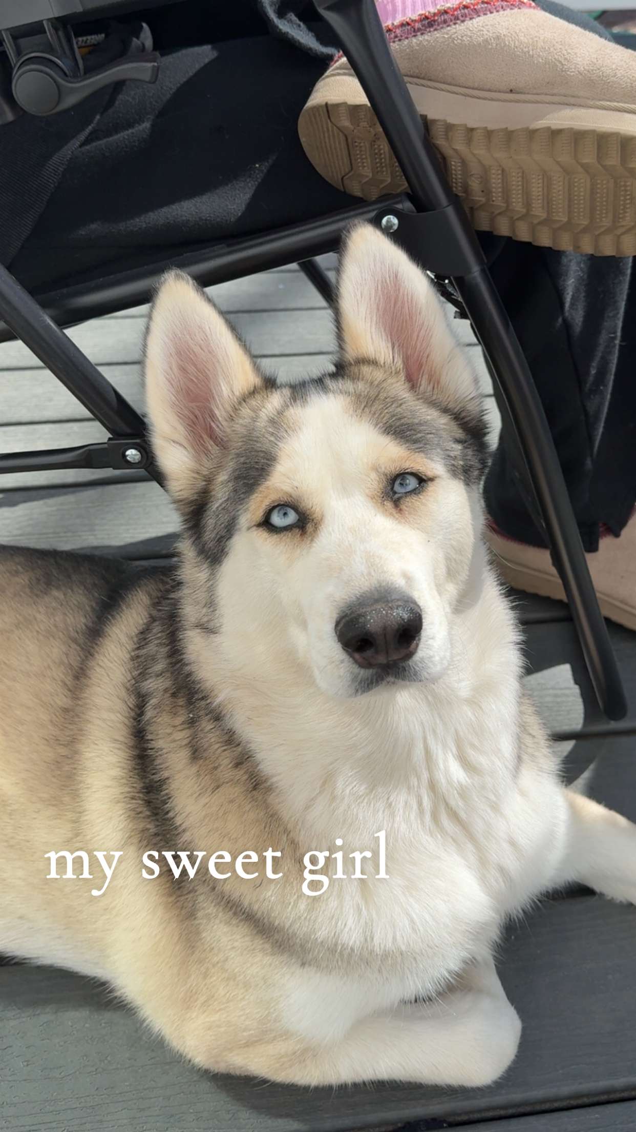 cruellamorganxo snapchat image archive image