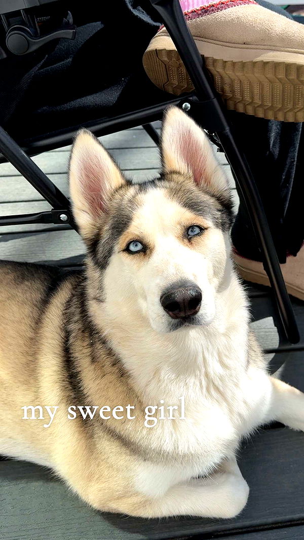 cruellamorganxo image ~ Altpins