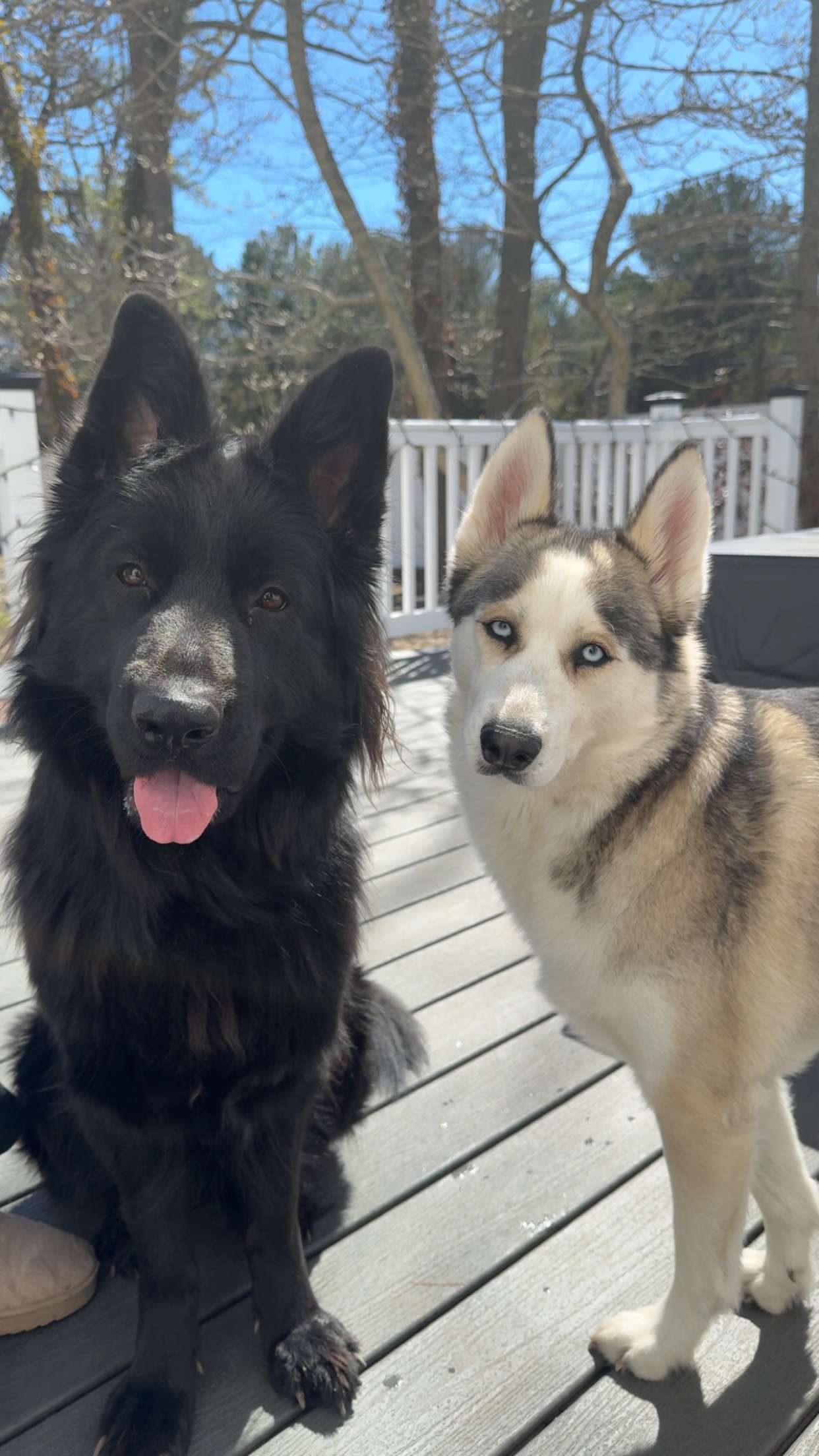 cruellamorganxo snapchat image archive image