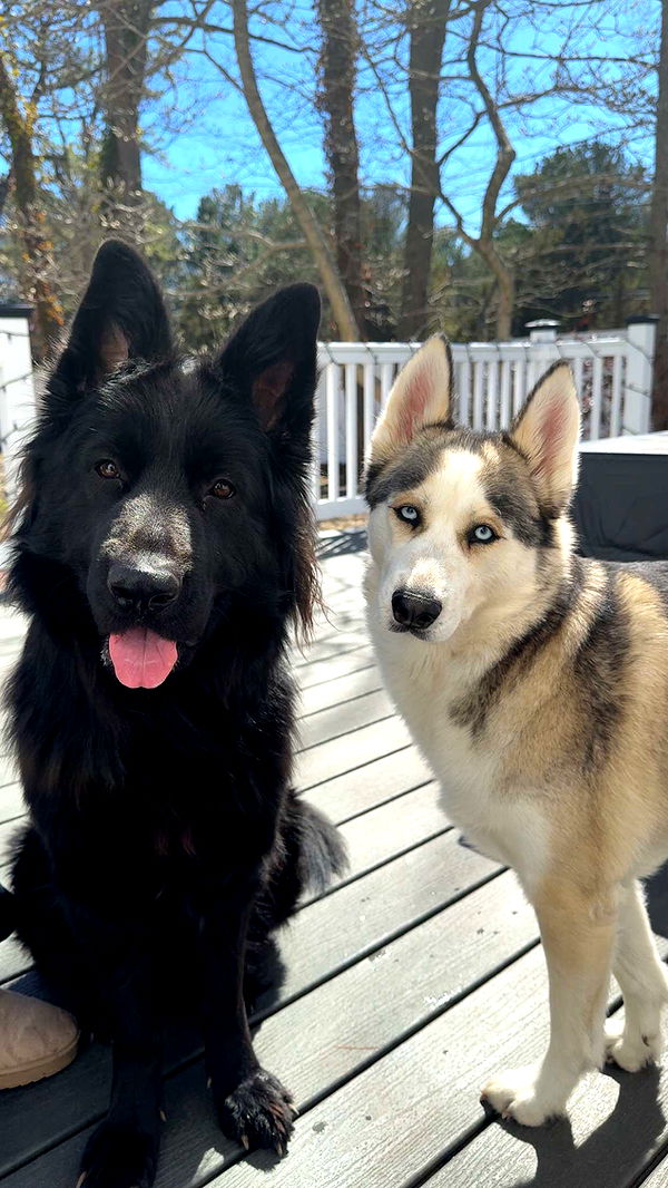 cruellamorganxo image ~ Altpins