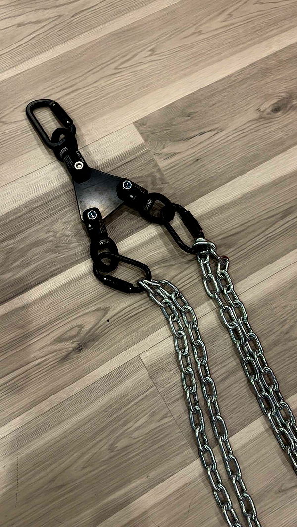 cruellamorganxo image ~ Altpins