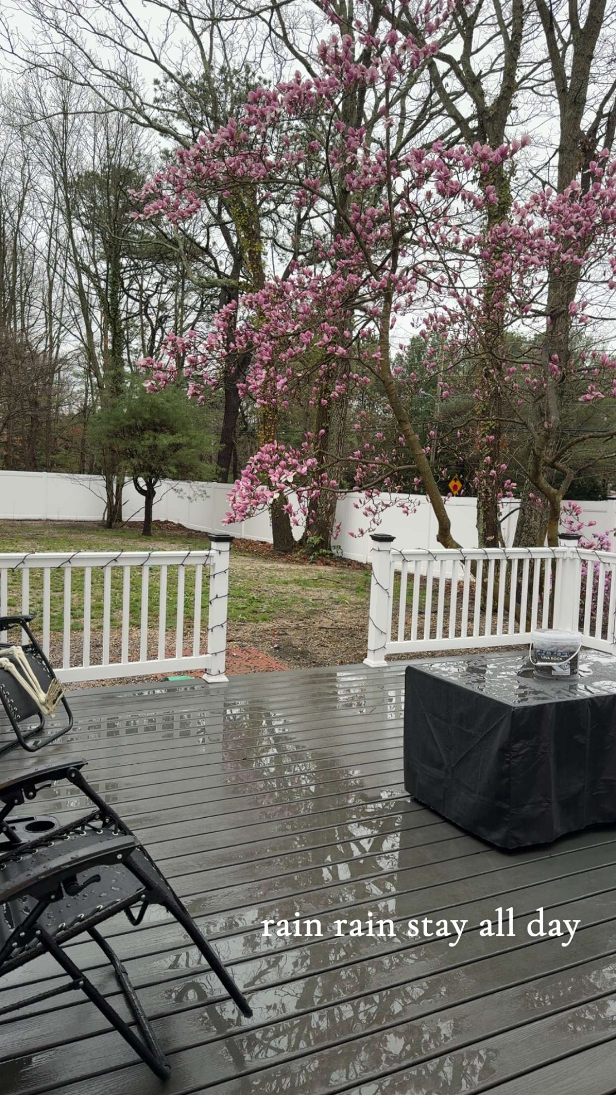 cruellamorganxo snapchat image archive image