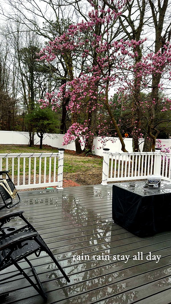 cruellamorganxo image ~ Altpins