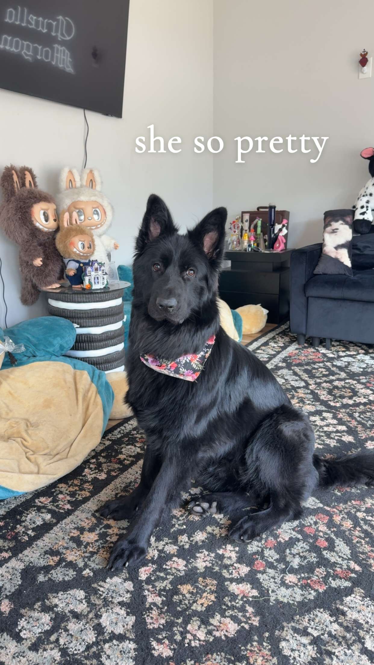 cruellamorganxo snapchat image archive image