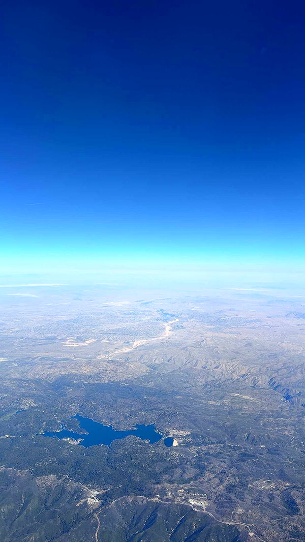 cruellamorganxo image ~ Altpins