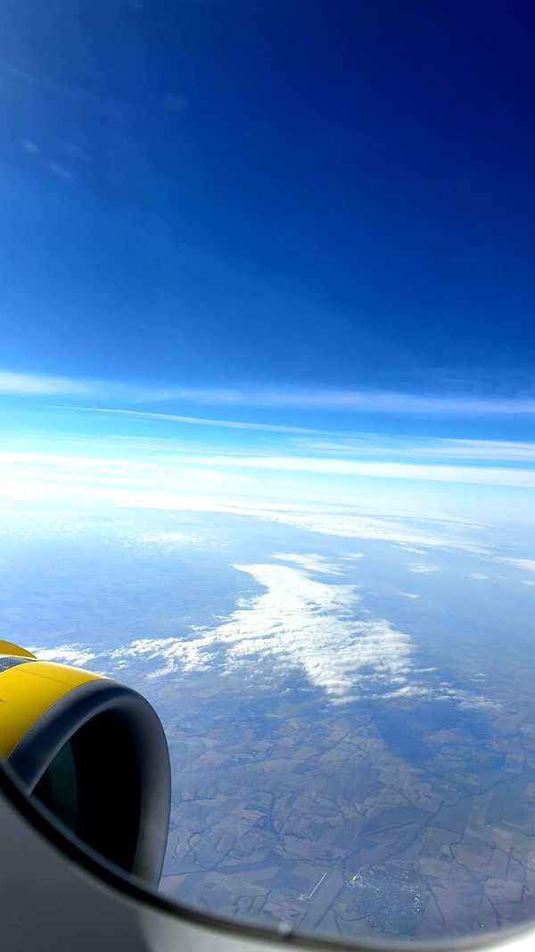 cruellamorganxo image ~ Altpins