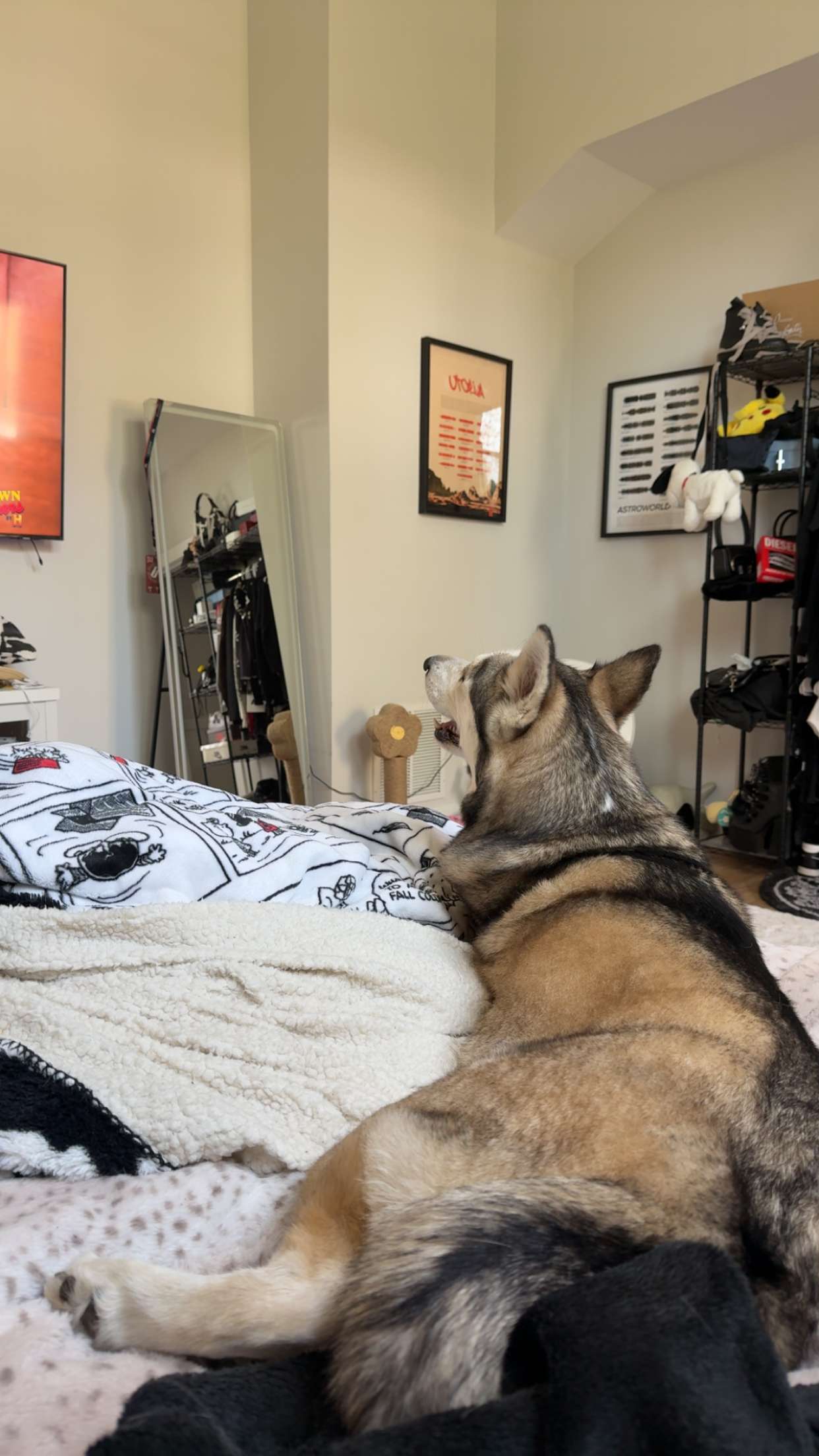 cruellamorganxo snapchat image archive image