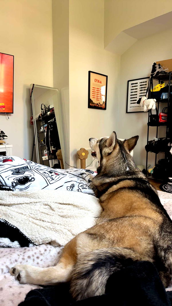 cruellamorganxo image ~ Altpins