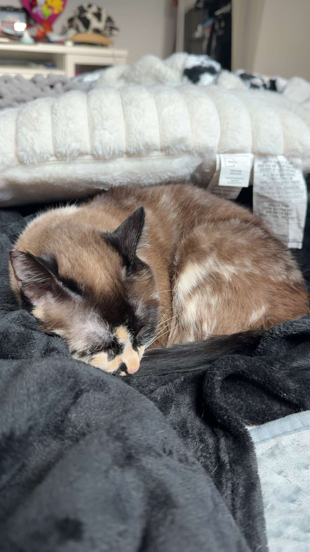 cruellamorganxo snapchat image archive image