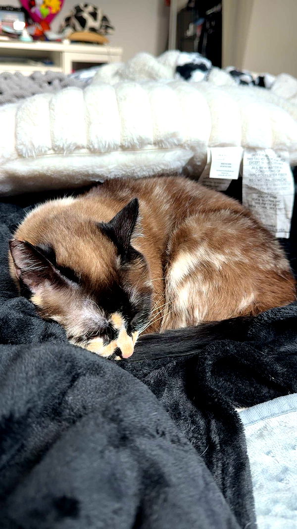 cruellamorganxo image ~ Altpins