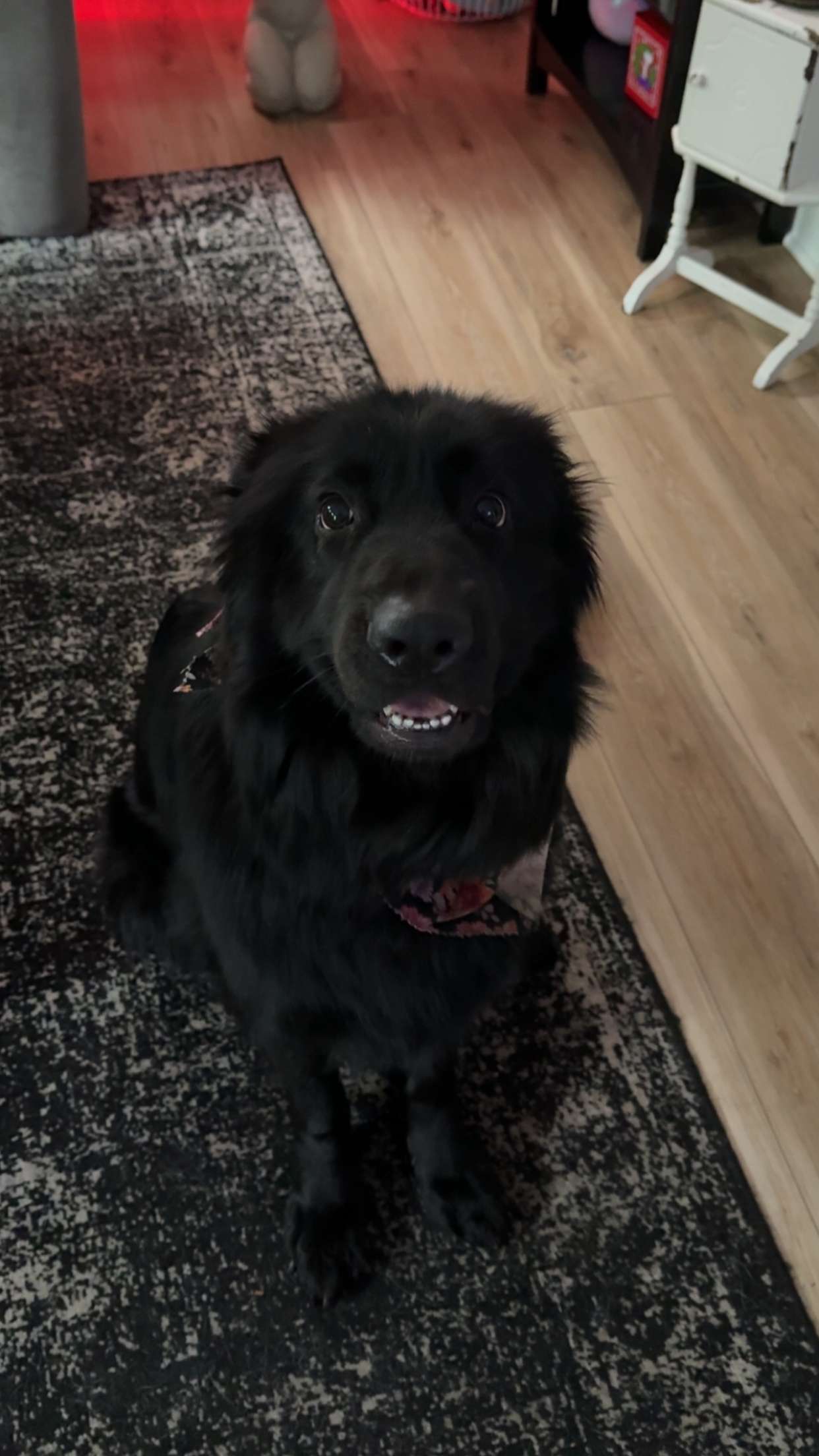 cruellamorganxo snapchat image archive image