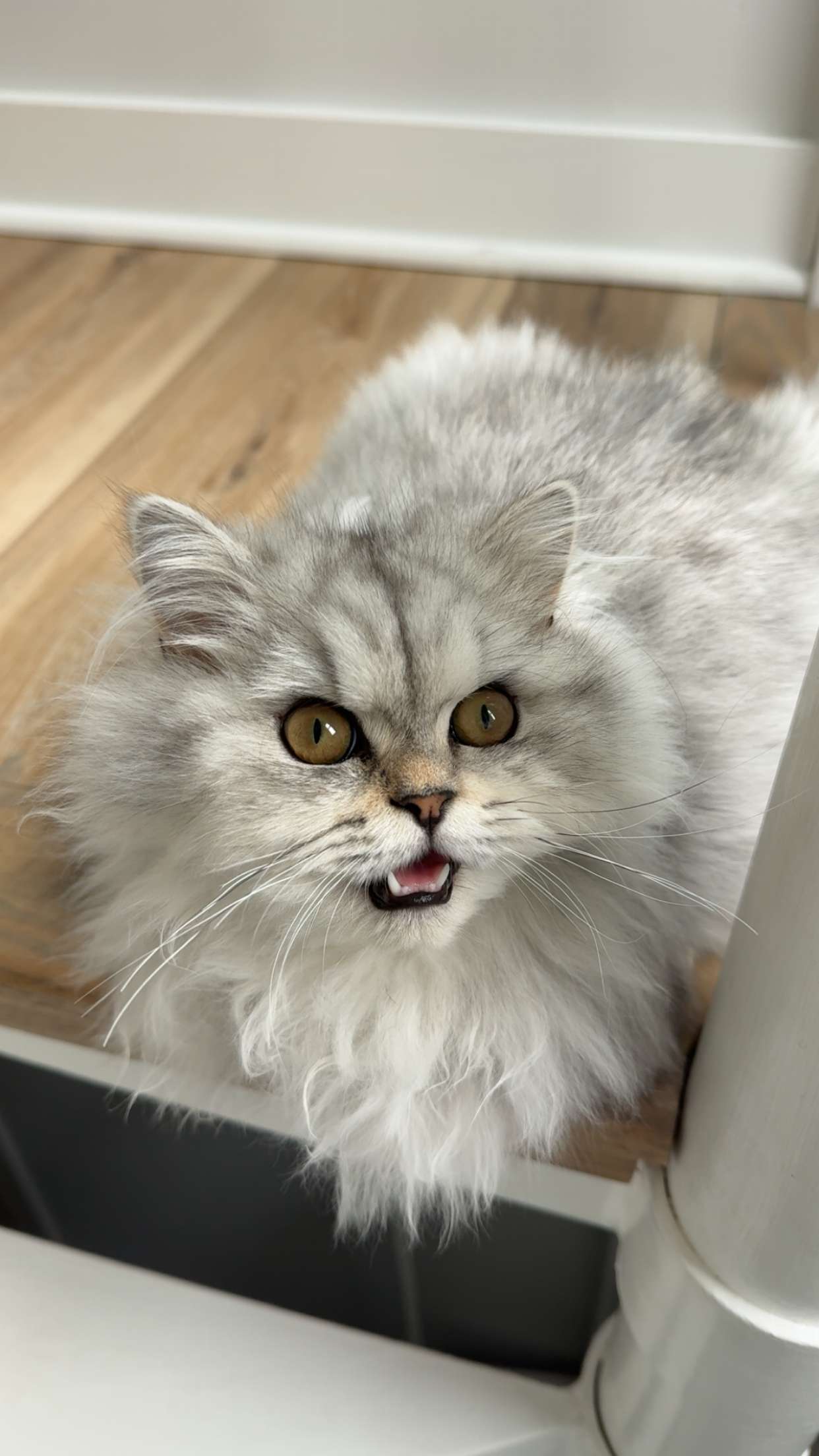 cruellamorganxo snapchat image archive image