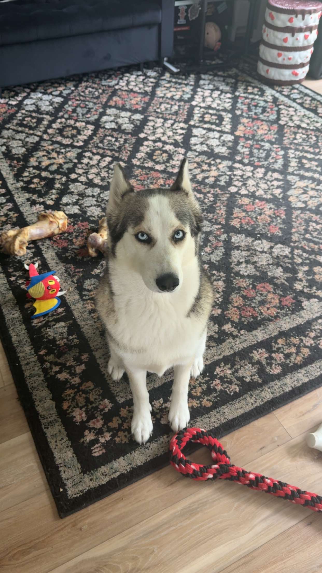 cruellamorganxo snapchat image archive image