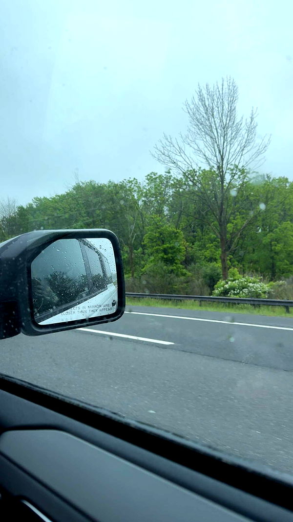 cruellamorganxo image ~ Altpins