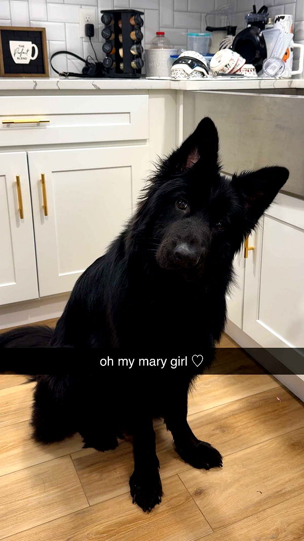 cruellamorganxo image ~ Altpins