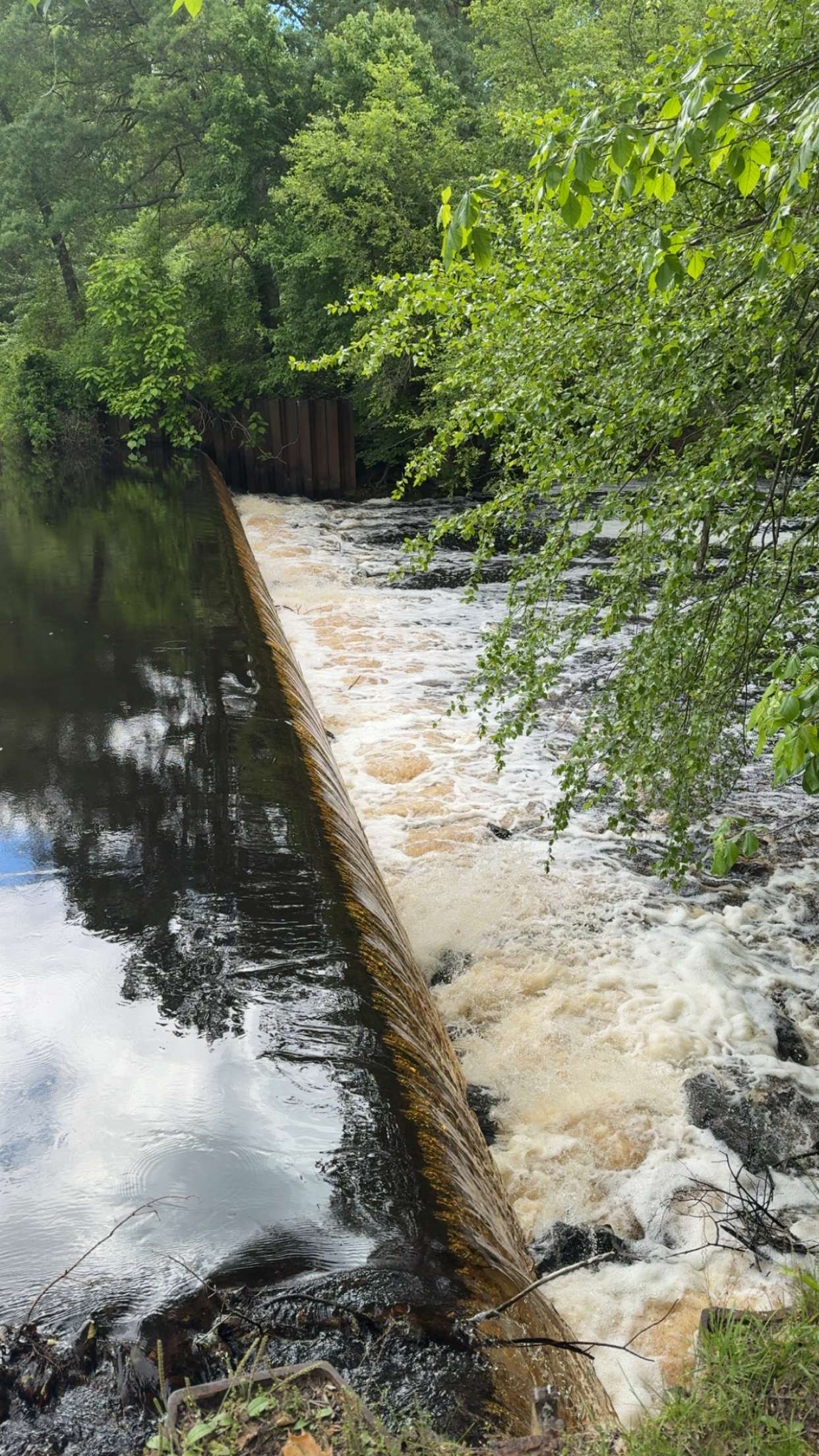 cruellamorganxo snapchat image archive image