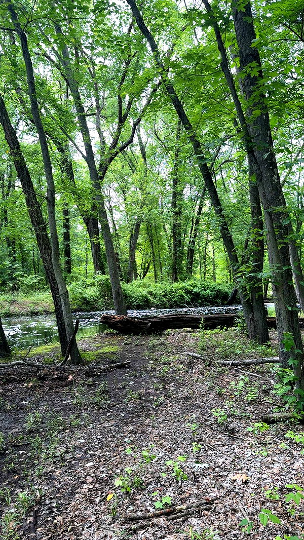 cruellamorganxo image ~ Altpins