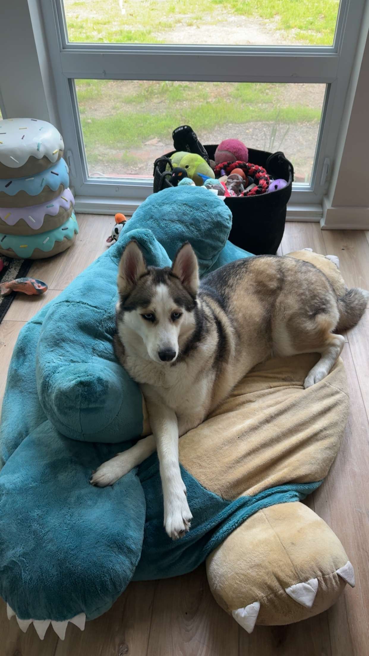 cruellamorganxo snapchat image archive image