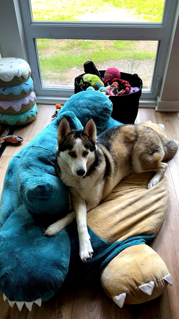 cruellamorganxo image ~ Altpins