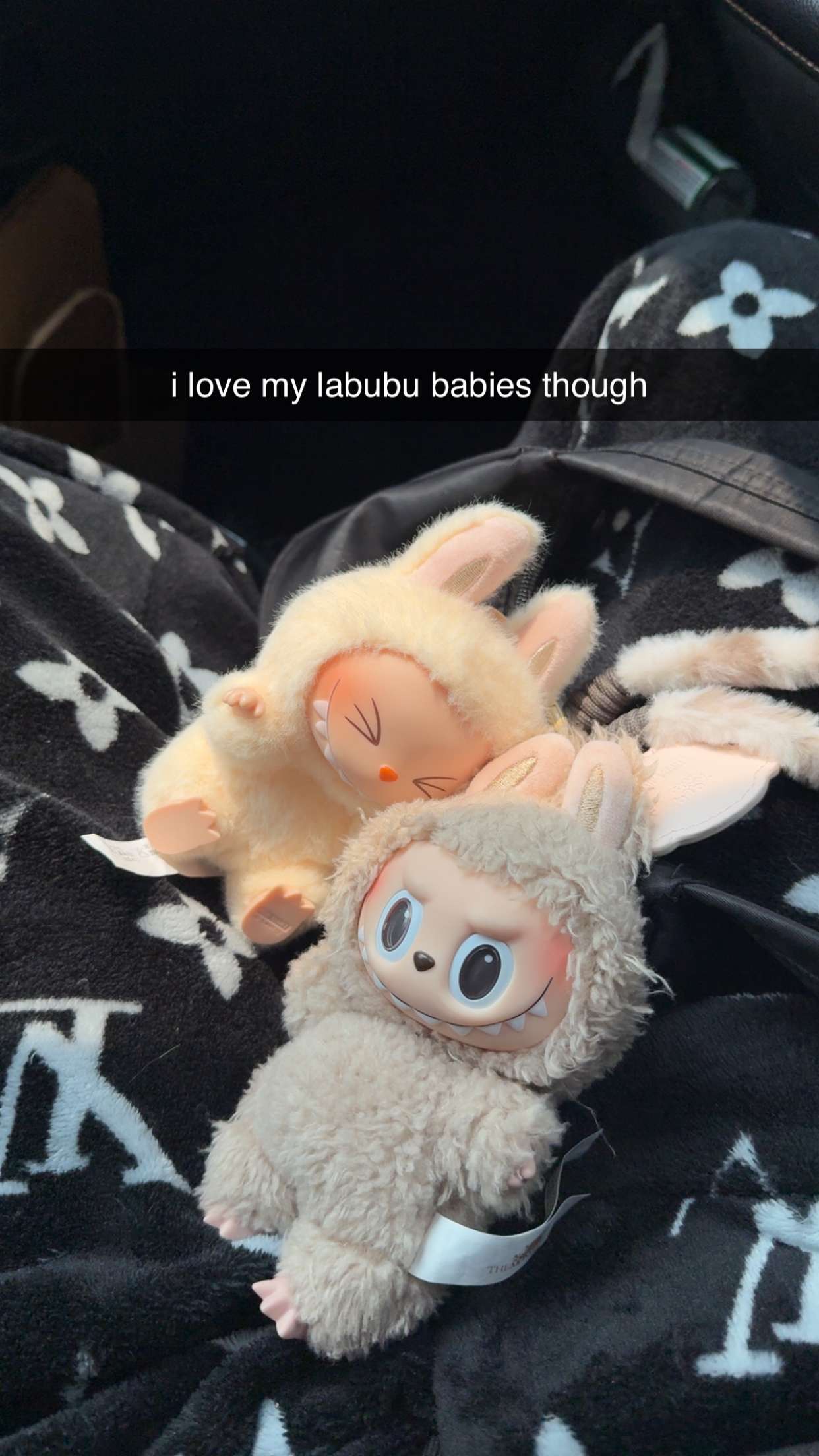 cruellamorganxo snapchat image archive image