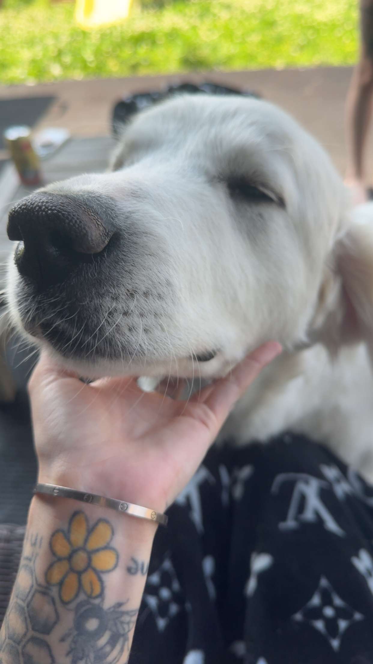 cruellamorganxo snapchat image archive image