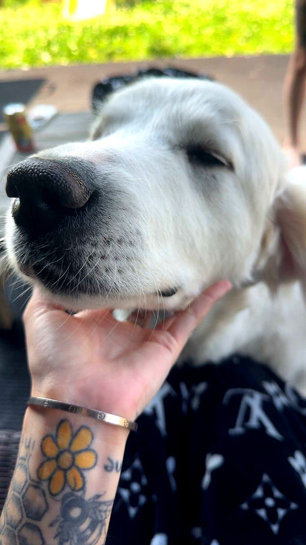 cruellamorganxo image ~ Altpins