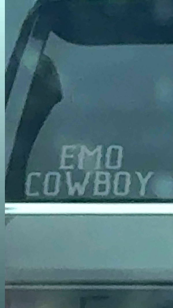 cruellamorganxo image ~ Altpins