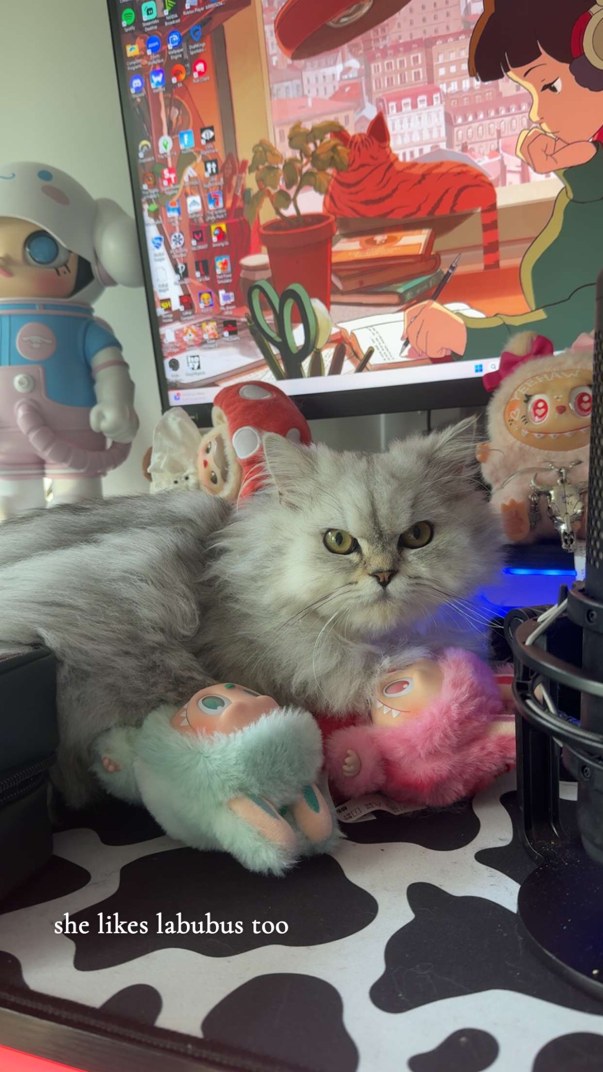 cruellamorganxo snapchat image archive image