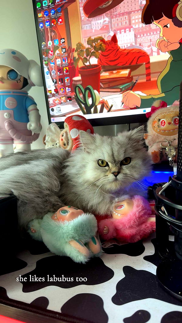 cruellamorganxo image ~ Altpins