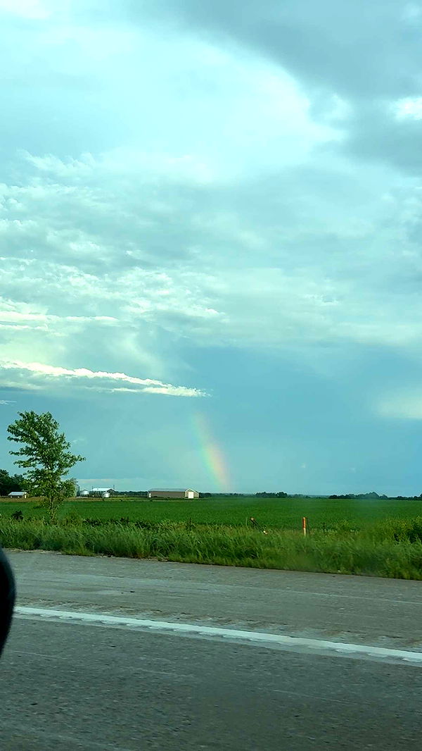 cruellamorganxo image ~ Altpins