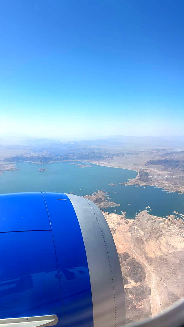 cruellamorganxo image ~ Altpins