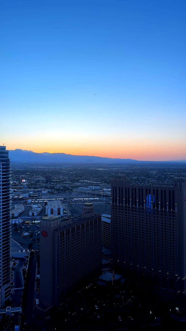 cruellamorganxo image ~ Altpins