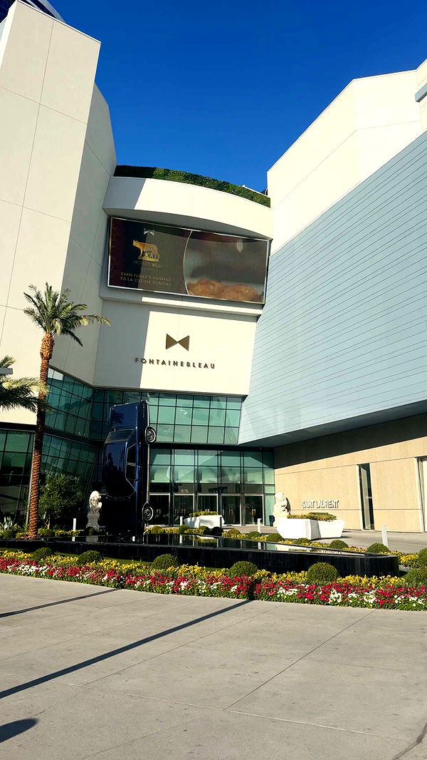 cruellamorganxo image ~ Altpins