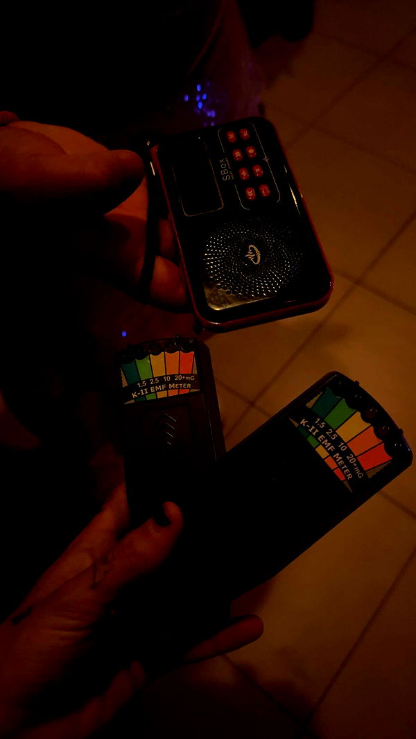 cruellamorganxo image ~ Altpins