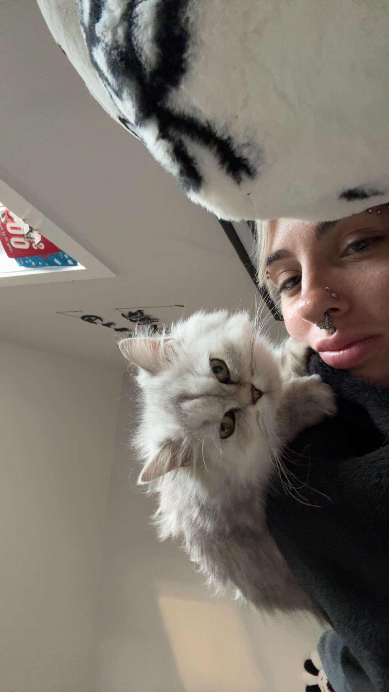 cruellamorganxo snapchat image archive image