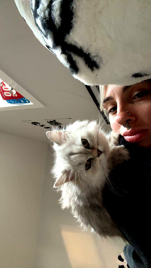 cruellamorganxo image ~ Altpins