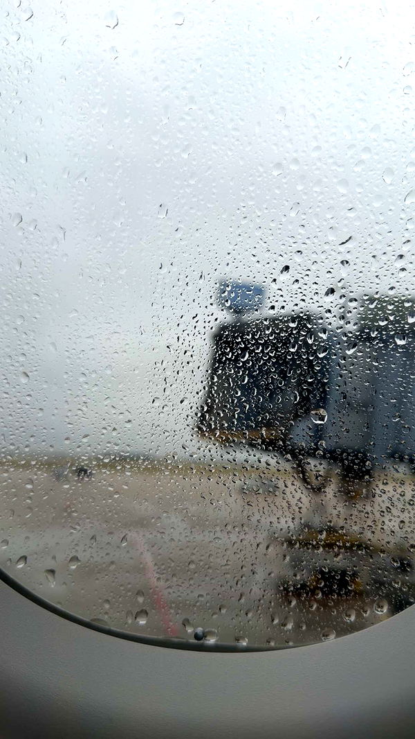 cruellamorganxo image ~ Altpins