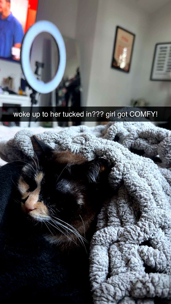 cruellamorganxo image ~ Altpins