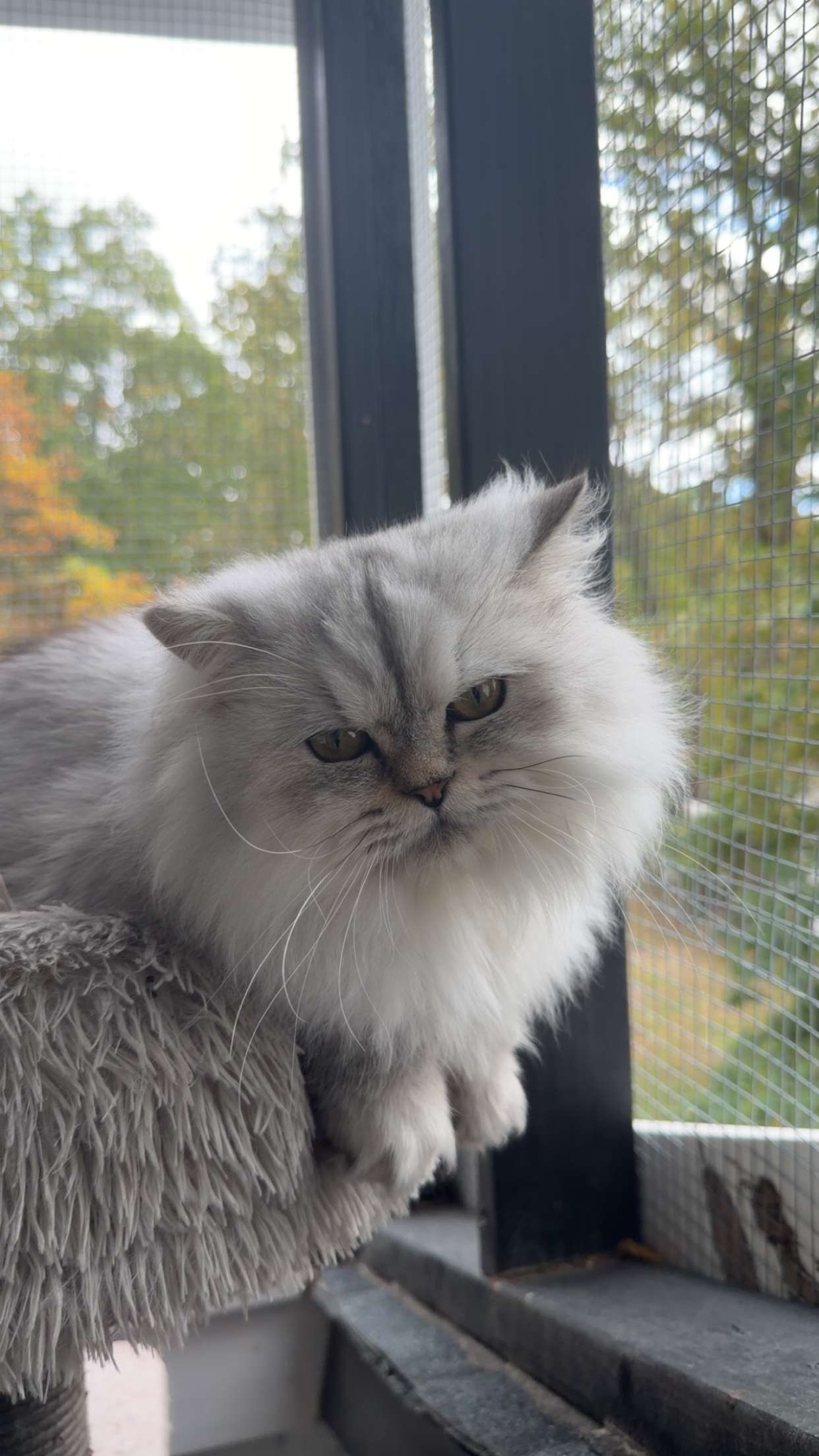 cruellamorganxo snapchat image archive image