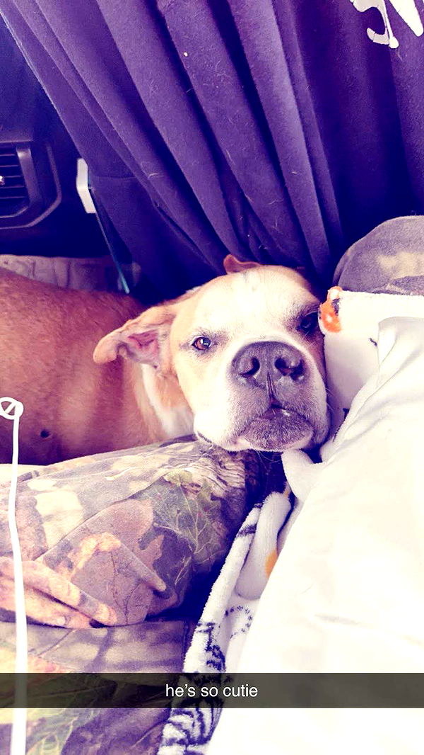 ellieblue2842 image ~ Altpins