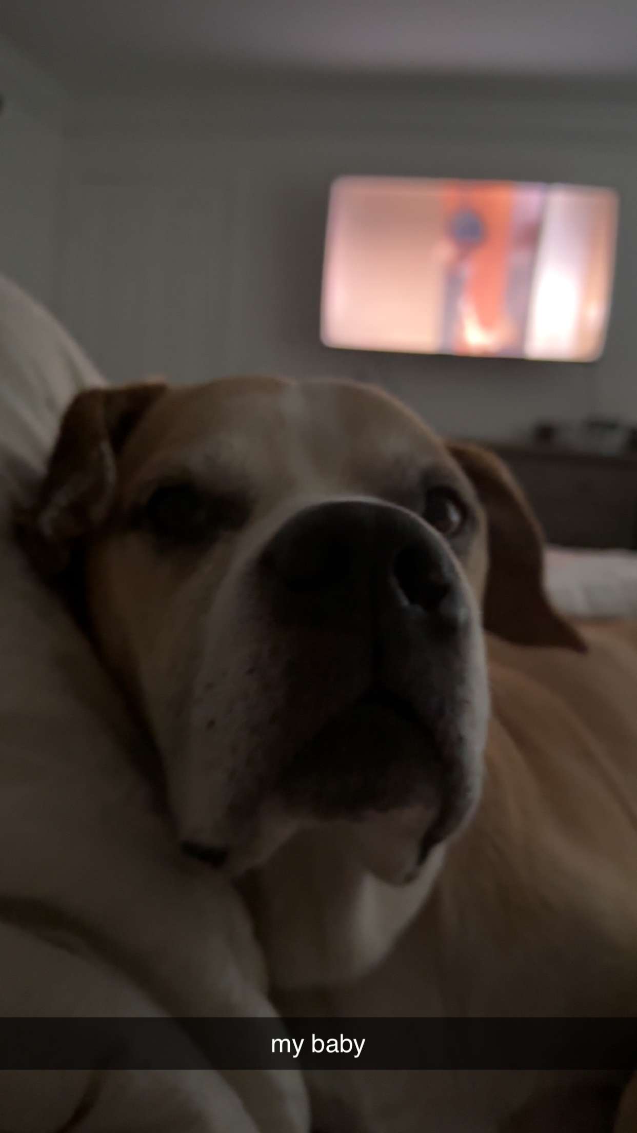 ellieblue2842 snapchat image archive image