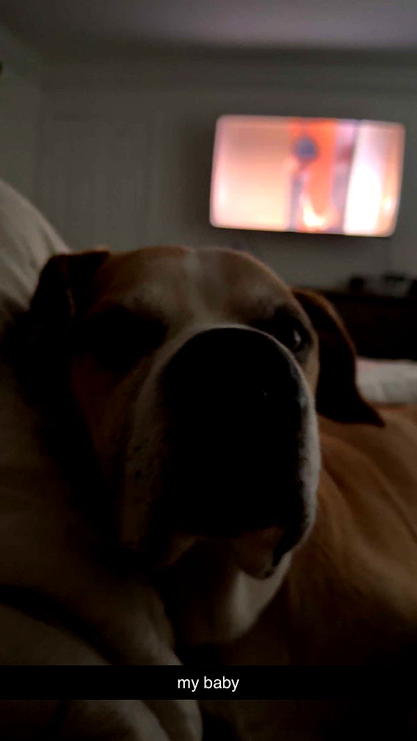 ellieblue2842 image ~ Altpins