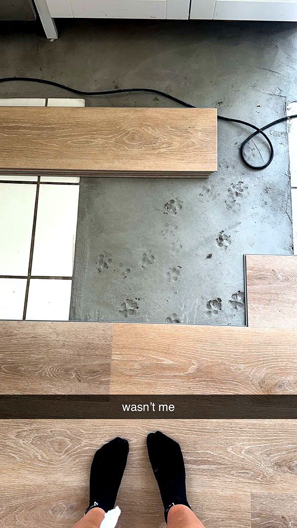 ellieblue2842 image ~ Altpins