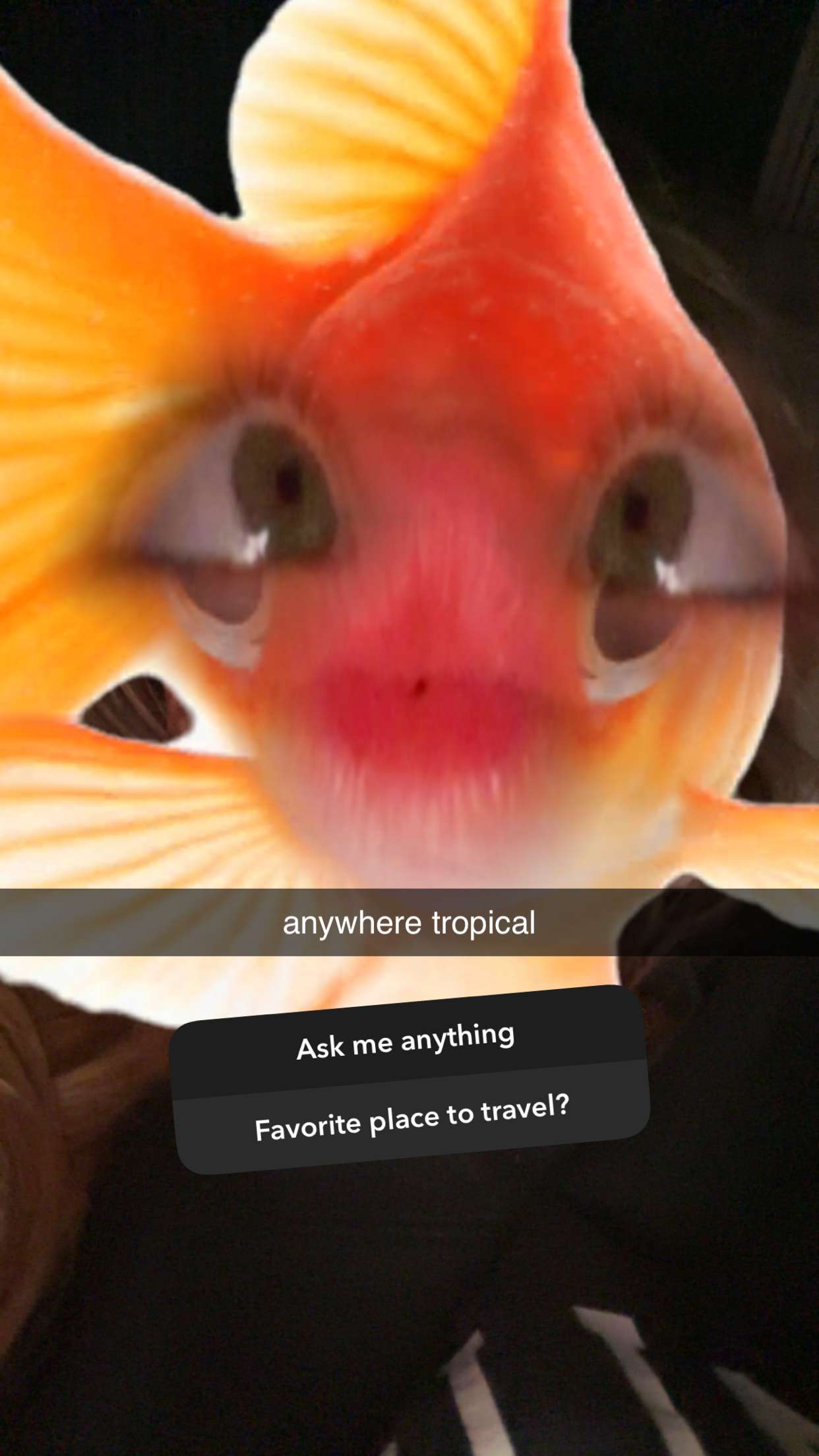 ellieblue2842 snapchat image archive image