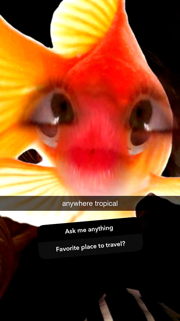 ellieblue2842 image ~ Altpins