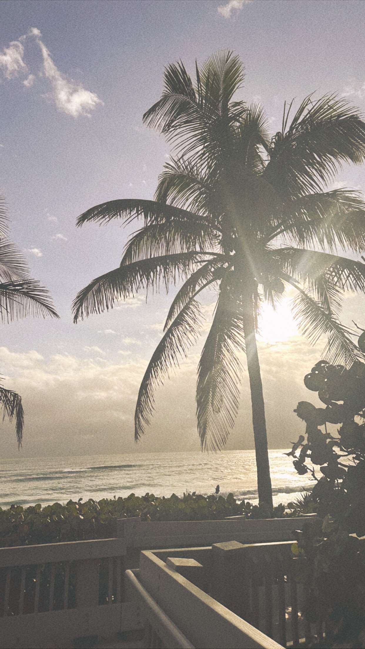 ellieblue2842 snapchat image archive image