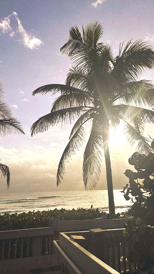 ellieblue2842 image ~ Altpins