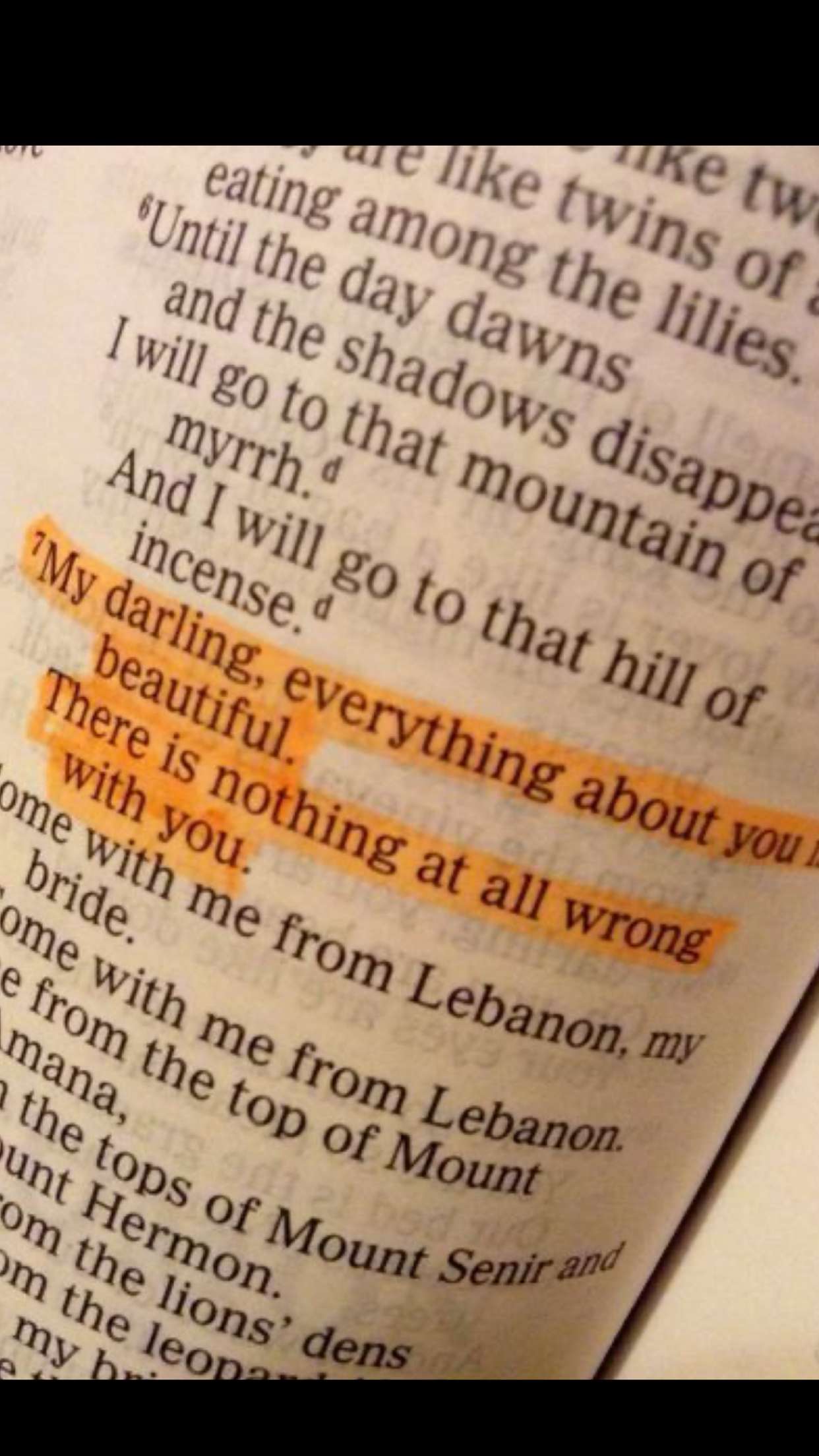 ellieblue2842 snapchat image archive image