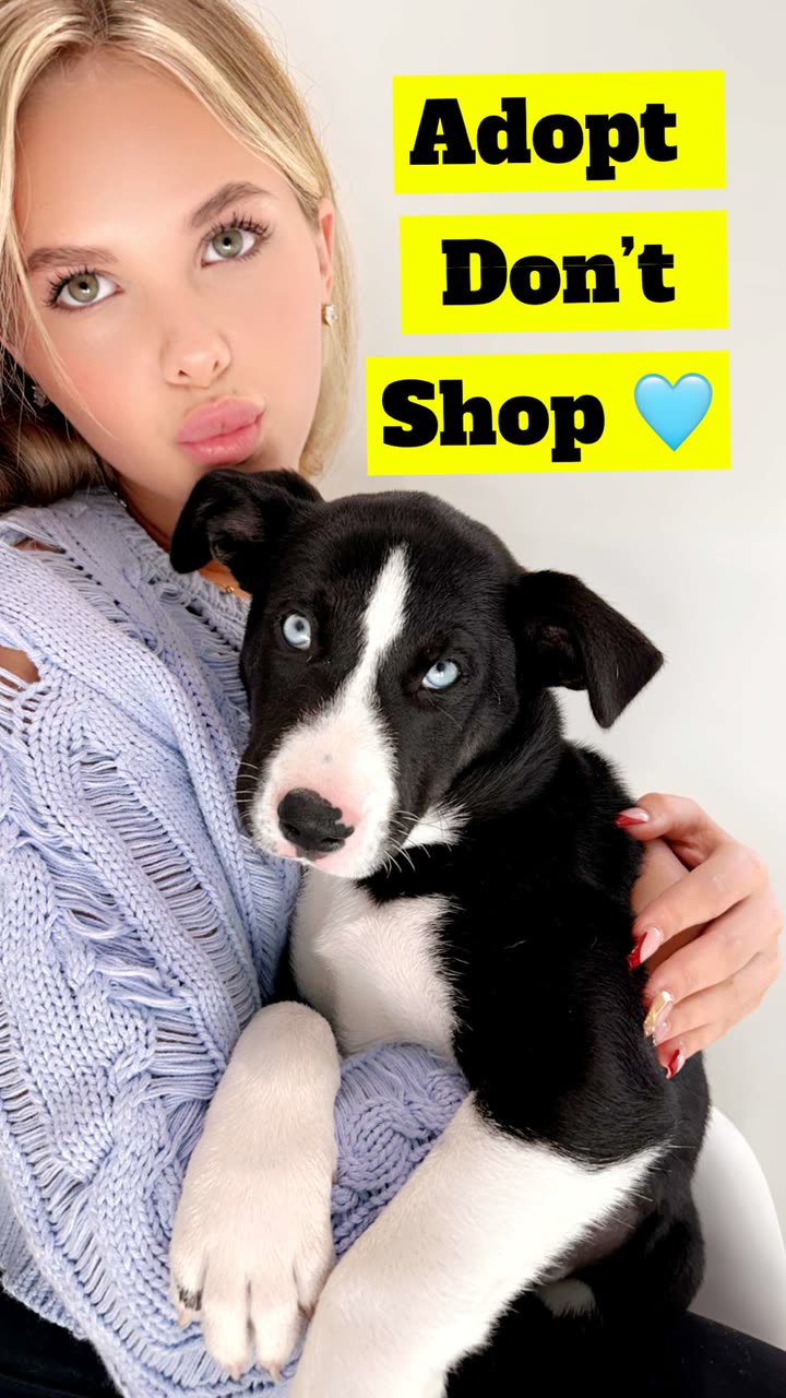 ellieblue2842 snapchat image archive image