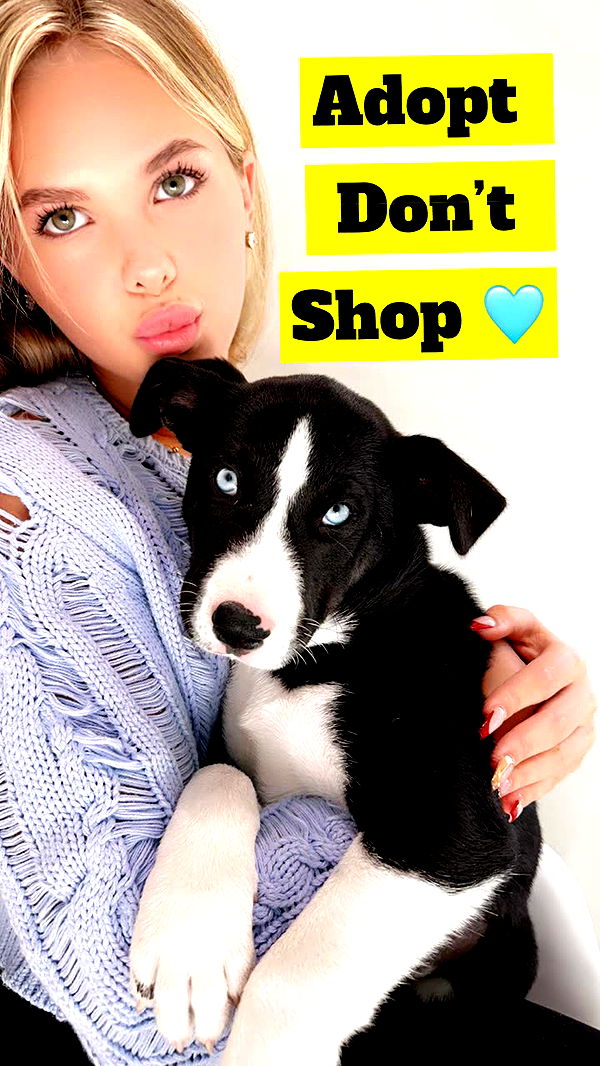 ellieblue2842 image ~ Altpins